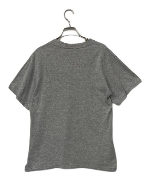 WILD THINGS（ワイルドシングス）WILD THINGS (ワイルドシングス) Tシャツ グレー サイズ:Mの古着・服飾アイテム