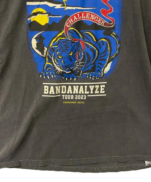 CHALLENGER（チャレンジャー）CHALLENGER (チャレンジャー) Tシャツ グレー サイズ:XLの古着・服飾アイテム