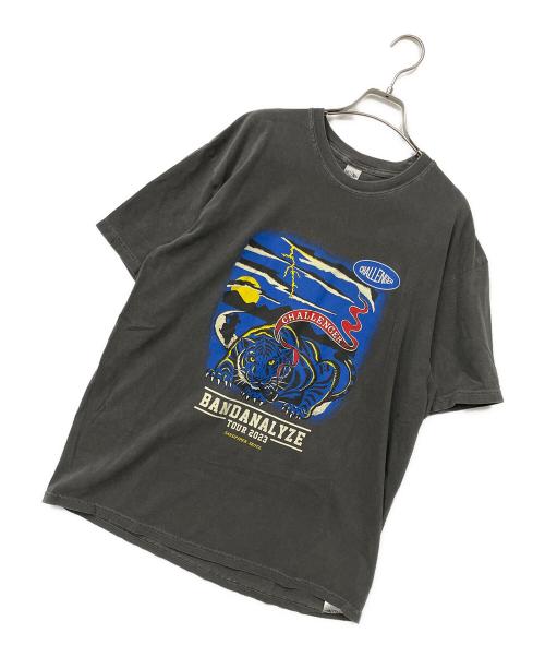 CHALLENGER（チャレンジャー）CHALLENGER (チャレンジャー) Tシャツ グレー サイズ:XLの古着・服飾アイテム