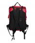 THE NORTH FACE (ザ ノース フェイス) リュック レッド：6000円