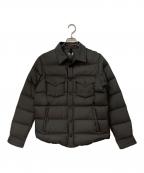 THE NORTH FACEザ ノース フェイス）の古着「ダウンジャケット」｜グレー