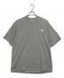 THE NORTH FACE（ザ ノース フェイス）の古着「Tシャツ」｜グレー