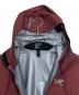 ARC'TERYX (アークテリクス) マウンテンパーカー エンジ サイズ:M：40000円