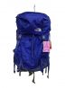 THE NORTH FACE（ザ ノース フェイス）の古着「W TELLUS 30」｜ブルー