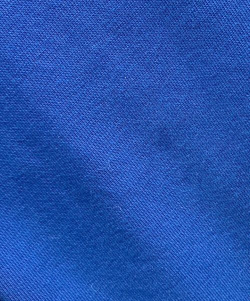 POLO RALPH LAUREN（ポロ・ラルフローレン）POLO RALPH LAUREN (ポロ・ラルフローレン) 裏起毛スウェット ブルー サイズ:XLの古着・服飾アイテム