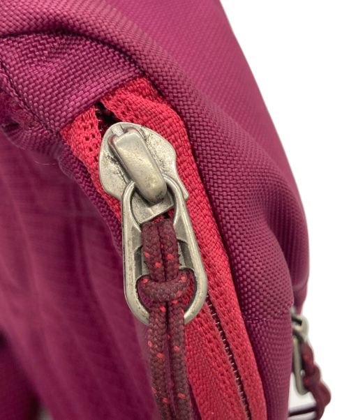 Patagonia（パタゴニア）Patagonia (パタゴニア) ボディバッグ パープルの古着・服飾アイテム