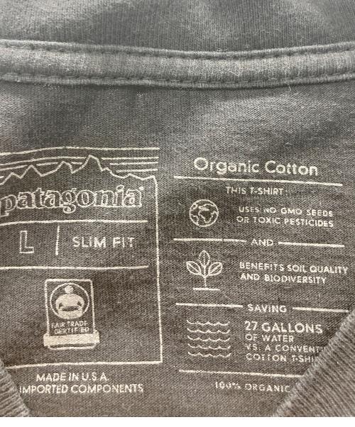 Patagonia（パタゴニア）Patagonia (パタゴニア) Tシャツ ブラック サイズ:Lの古着・服飾アイテム