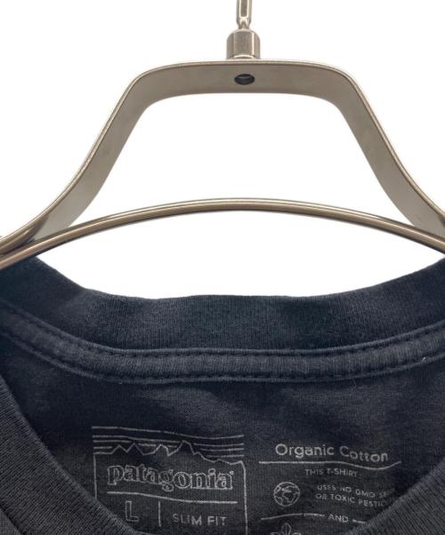 Patagonia（パタゴニア）Patagonia (パタゴニア) Tシャツ ブラック サイズ:Lの古着・服飾アイテム