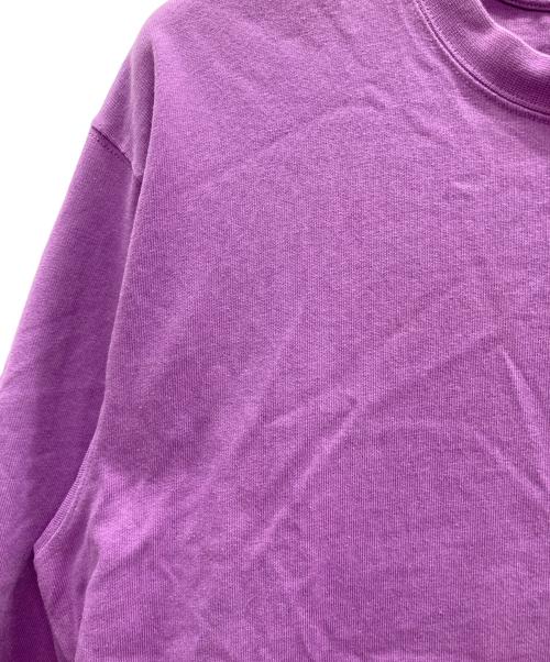 THE NORTH FACE（ザ ノース フェイス）THE NORTH FACE (ザ ノース フェイス) ロングスリーブカットソー パープル サイズ:Lの古着・服飾アイテム