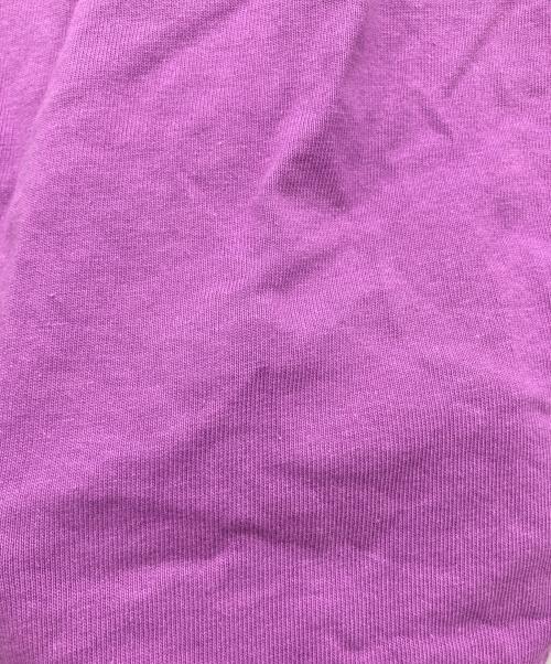 THE NORTH FACE（ザ ノース フェイス）THE NORTH FACE (ザ ノース フェイス) ロングスリーブカットソー パープル サイズ:Lの古着・服飾アイテム
