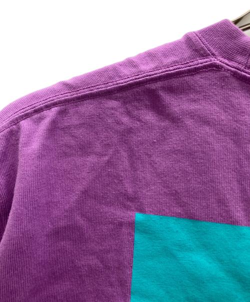 THE NORTH FACE（ザ ノース フェイス）THE NORTH FACE (ザ ノース フェイス) ロングスリーブカットソー パープル サイズ:Lの古着・服飾アイテム