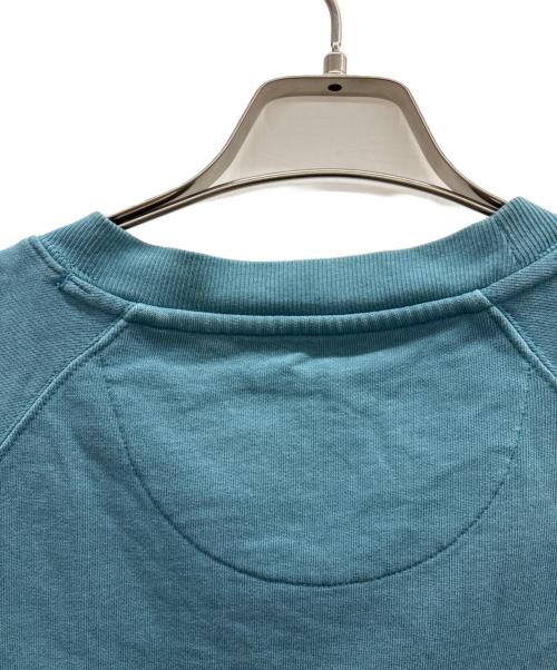 Patagonia（パタゴニア）Patagonia (パタゴニア) スウェット ブルー サイズ:Lの古着・服飾アイテム