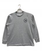 THE NORTH FACEザ ノース フェイス）の古着「Tシャツ」｜グレー