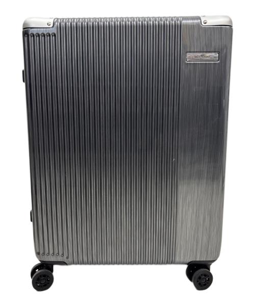 ACE FLIGHT（エースフライト）ACE FLIGHT (エースフライト) キャリーバッグ シルバーの古着・服飾アイテム