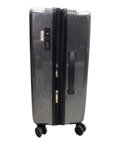 ACE FLIGHT（エースフライト）ACE FLIGHT (エースフライト) キャリーバッグ シルバーの古着・服飾アイテム