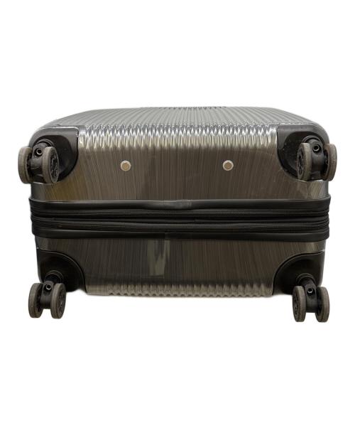 ACE FLIGHT（エースフライト）ACE FLIGHT (エースフライト) キャリーバッグ シルバーの古着・服飾アイテム