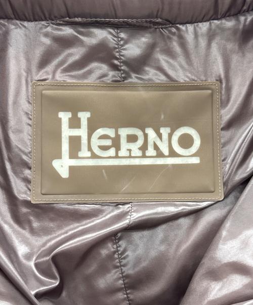 HERNO（ヘルノ）HERNO (ヘルノ) ダウンジャケット ブラウン サイズ:44の古着・服飾アイテム