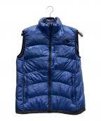 THE NORTH FACEザ ノース フェイス）の古着「アコンガグアベスト」｜ブルー×ブラック