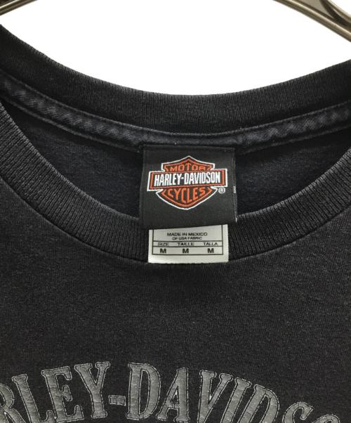HARLEY-DAVIDSON（ハーレーダビッドソン）HARLEY-DAVIDSON (ハーレーダビッドソン) プリントTシャツ ブラック サイズ:Mの古着・服飾アイテム