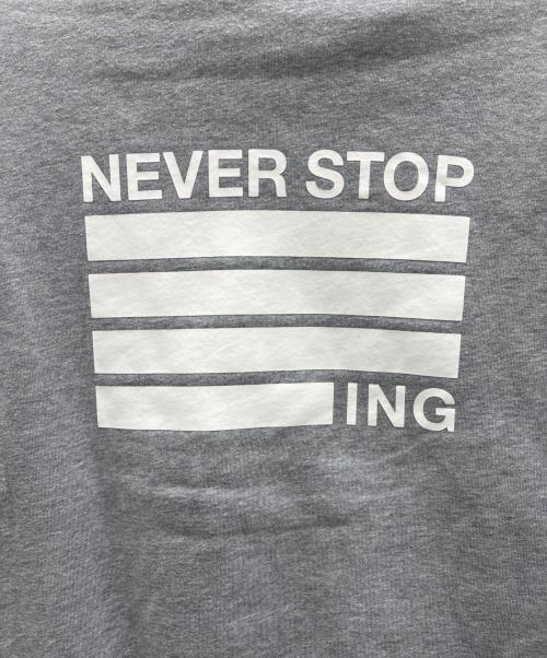 THE NORTH FACE（ザ ノース フェイス）THE NORTH FACE (ザ ノース フェイス) パーカー グレー サイズ:Lの古着・服飾アイテム