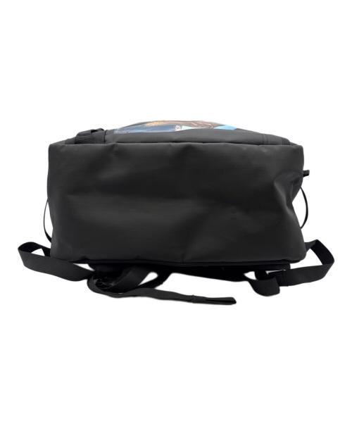 THE NORTH FACE（ザ ノース フェイス）THE NORTH FACE (ザ ノース フェイス) ノベルティBCヒューズボックス ブラックの古着・服飾アイテム