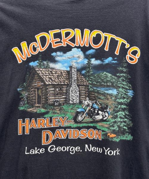 HARLEY-DAVIDSON（ハーレーダビッドソン）HARLEY-DAVIDSON (ハーレーダビッドソン) ロングスリーブカットソー ブラック×オレンジ サイズ:3XLの古着・服飾アイテム