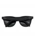 RAY-BAN (レイバン) サングラス ブラック：10000円