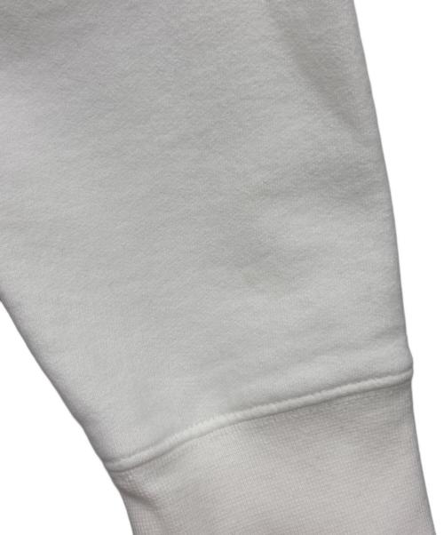 THE NORTH FACE（ザ ノース フェイス）THE NORTH FACE (ザ ノース フェイス) SUPREME (シュプリーム) Steep Tech Crewneck ホワイト サイズ:Sの古着・服飾アイテム