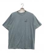 Patagoniaパタゴニア）の古着「Tシャツ」｜ブルー