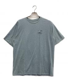 Patagonia（パタゴニア）の古着「Tシャツ」｜ブルー