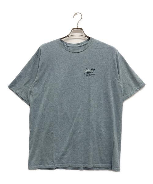 Patagonia（パタゴニア）Patagonia (パタゴニア) Tシャツ ブルー サイズ:XLの古着・服飾アイテム