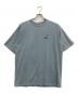 Patagonia（パタゴニア）の古着「Tシャツ」｜ブルー