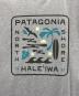 中古・古着 Patagonia (パタゴニア) Tシャツ ブルー サイズ:XL：5000円