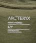 ARC'TERYX (アークテリクス) エンブレムTシャツ グリーン サイズ:S：5000円