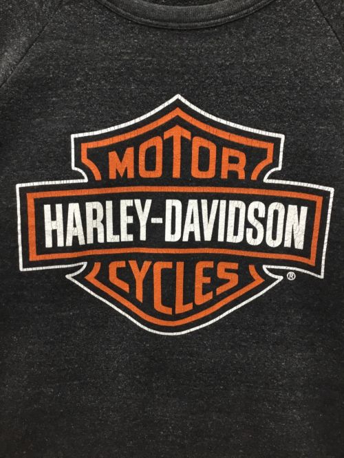 HARLEY-DAVIDSON（ハーレーダビッドソン）HARLEY-DAVIDSON (ハーレーダビッドソン) ロングスリーブカットソー グレー サイズ:MDの古着・服飾アイテム