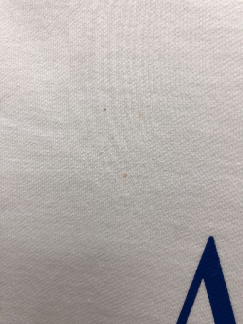 Alpine Codex Group（アルパインコーデックスグループ）ALPINE CODEX GROUP (アルパインコーデックスグループ) GOLDWIN (ゴールドウイン) スウェット ホワイト サイズ:Lの古着・服飾アイテム