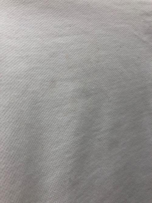 Alpine Codex Group（アルパインコーデックスグループ）ALPINE CODEX GROUP (アルパインコーデックスグループ) GOLDWIN (ゴールドウイン) スウェット ホワイト サイズ:Lの古着・服飾アイテム