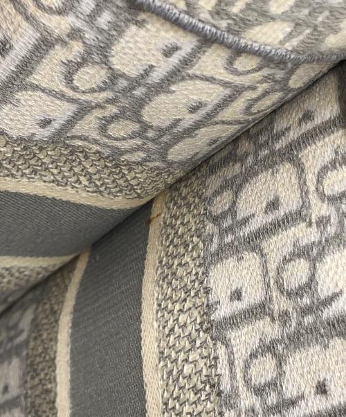 Christian Dior（クリスチャン ディオール）Christian Dior (クリスチャン ディオール) バッグ グレーの古着・服飾アイテム