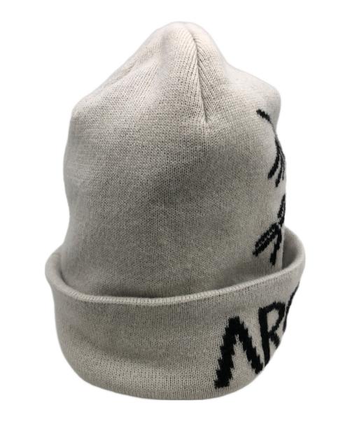 ARC'TERYX（アークテリクス）ARC'TERYX (アークテリクス) FERNIE TOQUE グレーの古着・服飾アイテム