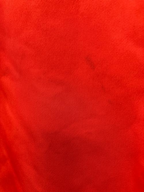 POLO RALPH LAUREN（ポロ・ラルフローレン）POLO RALPH LAUREN (ポロ・ラルフローレン) ナイロンジャケット レッド サイズ:Lの古着・服飾アイテム