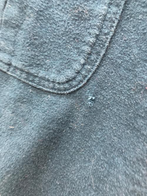 cabela's CHAMOIS（カベラス シャモア）cabela's CHAMOIS (カベラス シャモア) シャモアクロスシャツ グリーン サイズ:Lの古着・服飾アイテム
