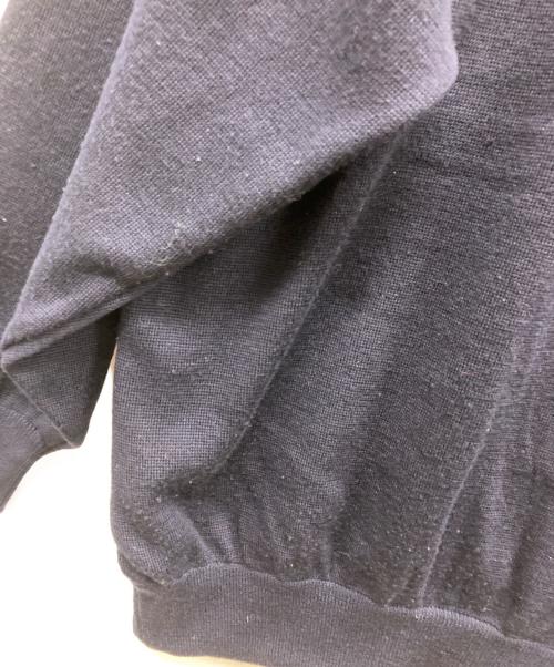 hardy amies sport（ハーディーエイミス スポーツ）HARDY AMIES SPORT (ハーディーエイミス スポーツ) ニット サイズ:3Lの古着・服飾アイテム
