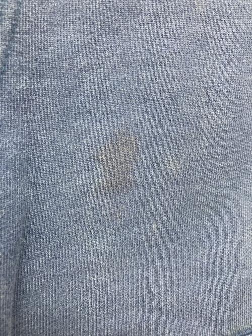 Champion（チャンピオン）Champion (チャンピオン) ロゴフーディパーカー インディゴ サイズ:Ｌの古着・服飾アイテム