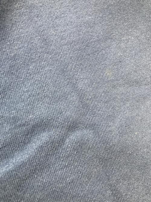 Champion（チャンピオン）Champion (チャンピオン) ロゴフーディパーカー インディゴ サイズ:Ｌの古着・服飾アイテム