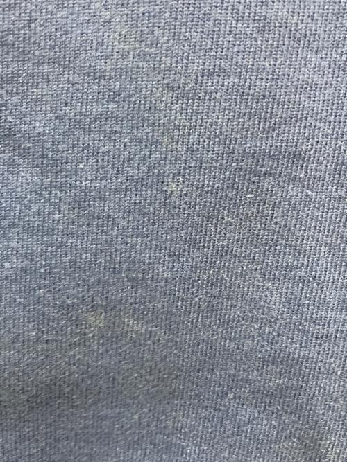 Champion（チャンピオン）Champion (チャンピオン) ロゴフーディパーカー インディゴ サイズ:Ｌの古着・服飾アイテム