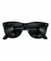 RAY-BAN（レイバン）の古着「ウェイファーラーサングラス」