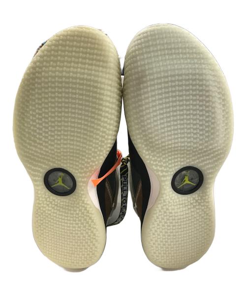 NIKE（ナイキ）NIKE (ナイキ) Travis Scott (トラヴィス・スコット) スニーカー Jordan 33 NRG 