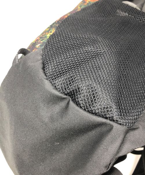 GREGORY（グレゴリー）GREGORY (グレゴリー) バックパック NANO 18 (ナノ 18) グリーン×ブラック サイズ:18の古着・服飾アイテム