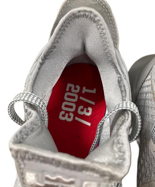 NIKE（ナイキ）NIKE (ナイキ) スニーカー LEBRON 16 LOW(レブロン 16 ロー） グレー サイズ:28の古着・服飾アイテム