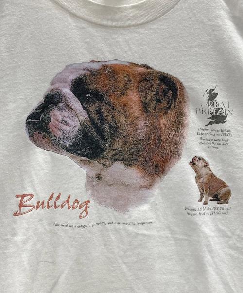 Murina（ムリナ）Murina (ムリナ) Tシャツ ホワイト サイズ:XXLの古着・服飾アイテム